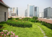 深圳屋顶绿化工程中草坪养护管理办法